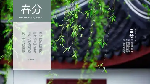 青色简约小清新二十四节气之春分介绍PPT模板课件