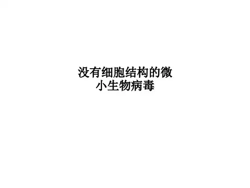没有细胞结构的微小生物病毒PPT课件