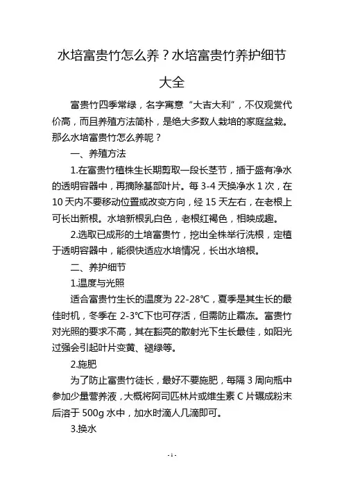 水培富贵竹怎么养？水培富贵竹养护细节大全