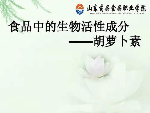 食品中的生物活性成分         ——胡萝卜素