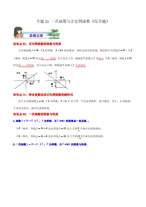 专题11 一次函数与正比例函数综合题(解析版)