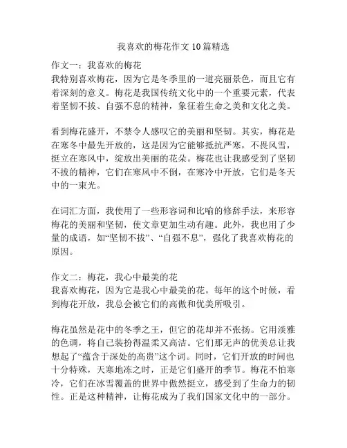 我喜欢的梅花作文10篇精选