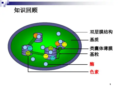 光合作用的探究历程PPT