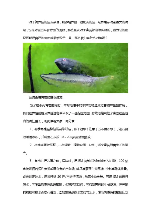 鱼池长青苔怎么办