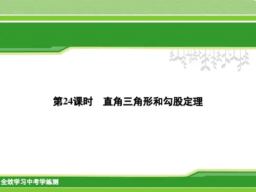 中考数学名师复习课件(第24课时直角三角形和勾股定理)