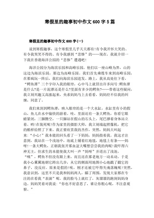 寒假里的趣事初中作文600字5篇