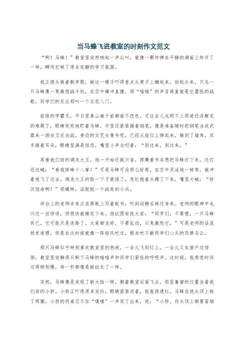 当马蜂飞进教室的时刻作文范文