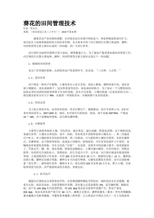 葵花的田间管理技术