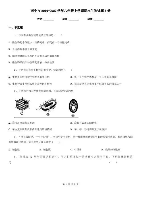 南宁市2019-2020学年八年级上学期期末生物试题B卷