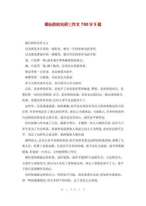 最后的时光初三作文700字5篇