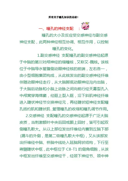 所有关于瞳孔知识的总结