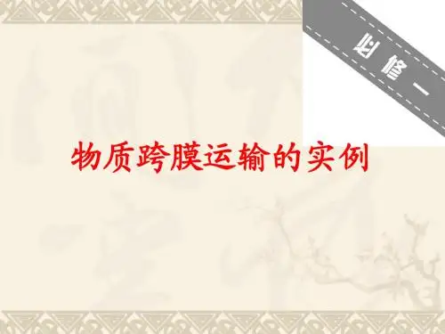 物质跨膜运输的实例