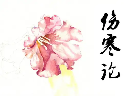 小建中汤证
