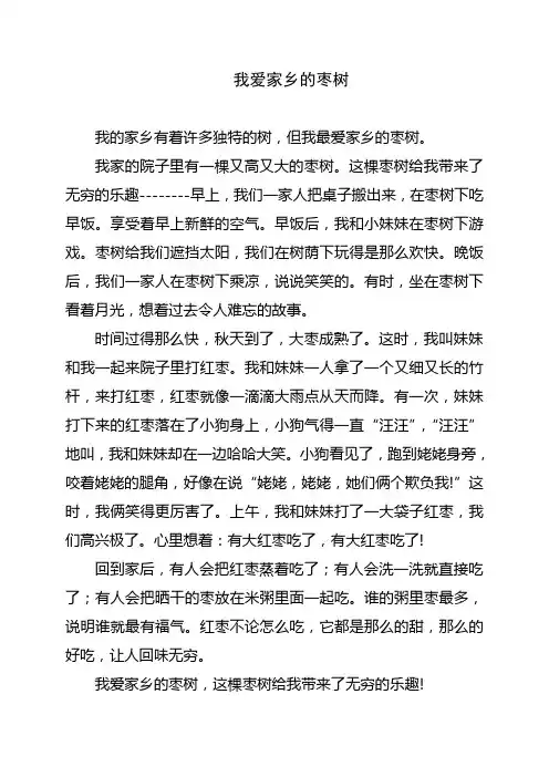 我爱家乡的枣树