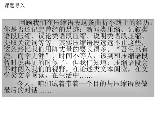 2020最新版高考复习压缩语段PPT(课件+教案+练习,11份)3[优质实用版课件]