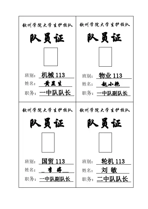 队员证