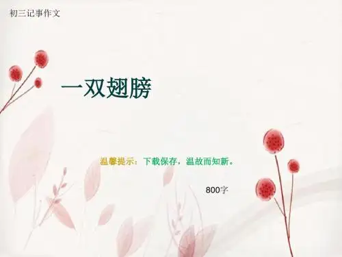 初三记事作文《一双翅膀》800字(总11页PPT)