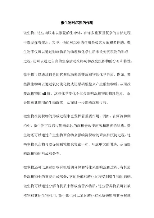 微生物对沉积的作用