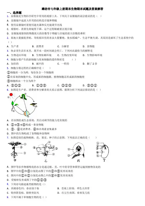 潍坊市七年级上册期末生物期末试题及答案解答