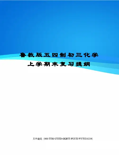鲁教版五四制初三化学上学期末复习提纲