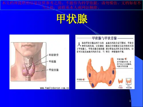 甲状腺结节的诊疗和治疗主题讲座培训课件
