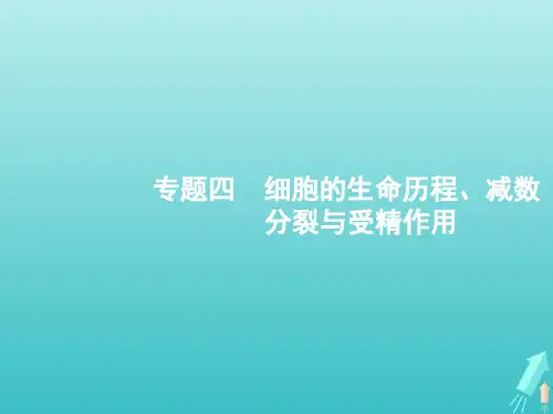 2020高考生物二轮复习专题四细胞的生命历程、减数分裂与受精作用课件