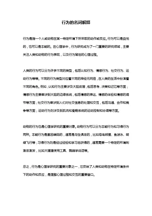 行为的名词解释