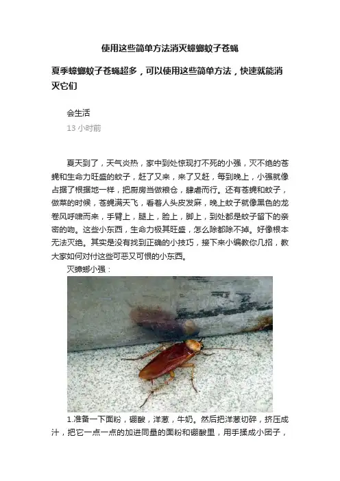 使用这些简单方法消灭蟑螂蚊子苍蝇