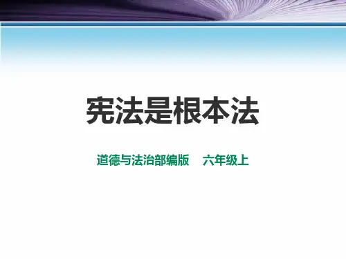 2宪法是根本法  第一课时 课件