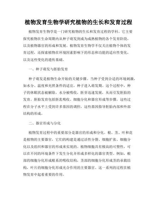 植物发育生物学研究植物的生长和发育过程