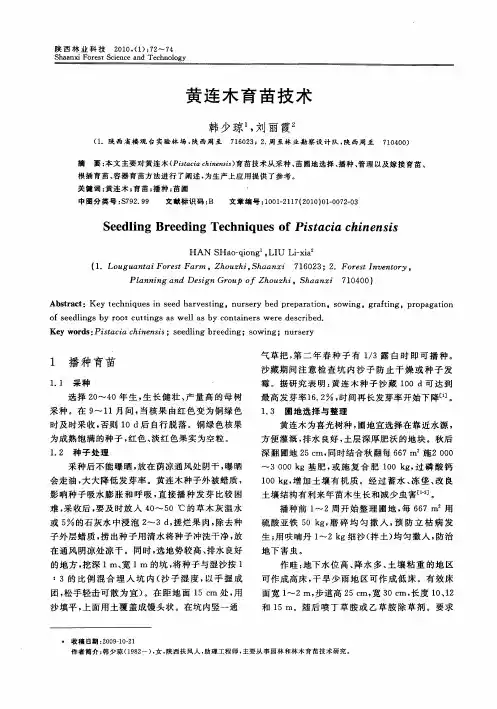 黄连木育苗技术
