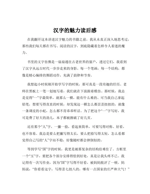 汉字的魅力读后感