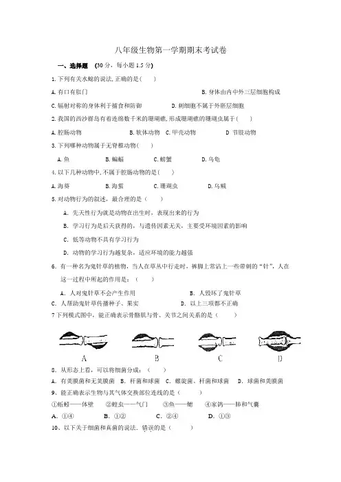 人教版八年级生物期末试卷