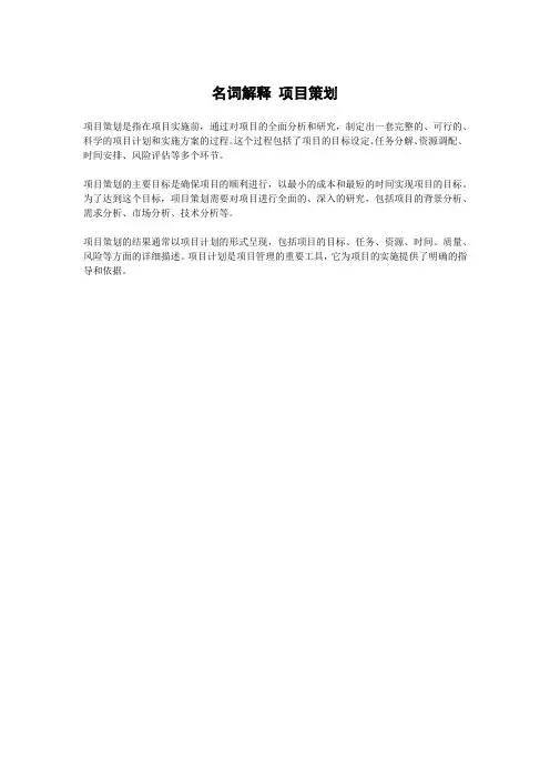 名词解释 项目策划