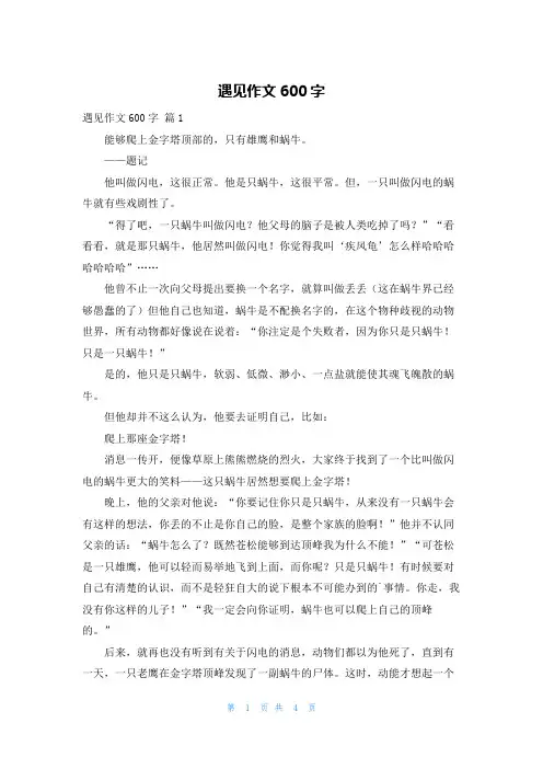 遇见作文600字
