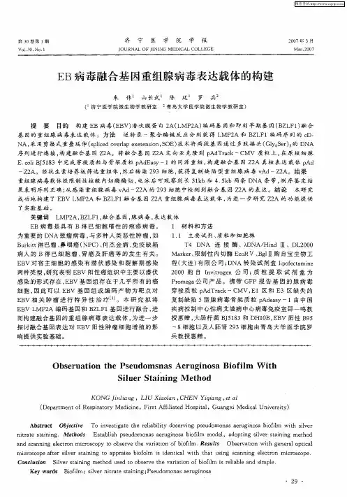 EB病毒融合基因重组腺病毒表达载体的构建
