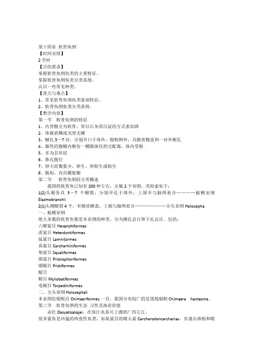14第十四章软骨鱼纲