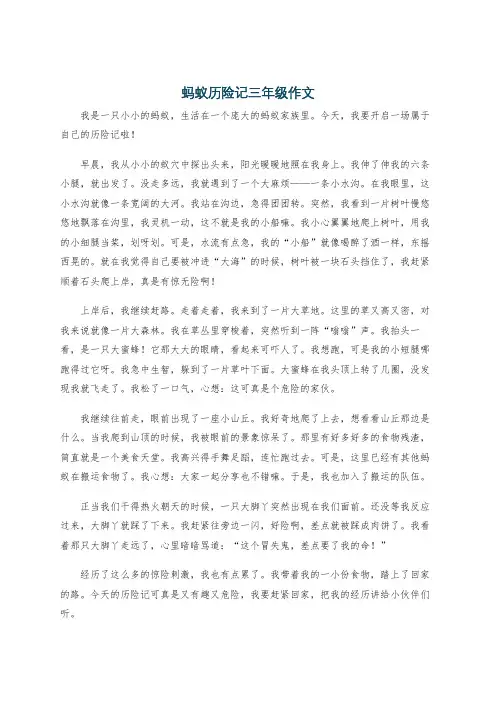 蚂蚁历险记三年级作文