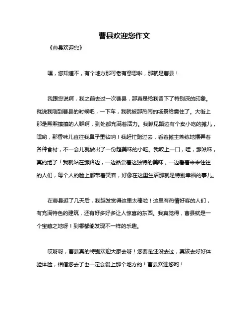 曹县欢迎您作文