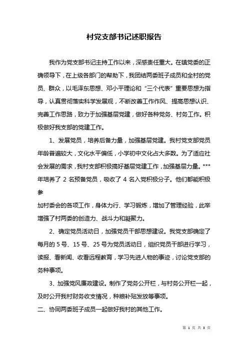 村党支部书记述职报告