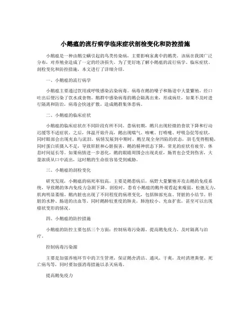 小鹅瘟的流行病学临床症状剖检变化和防控措施