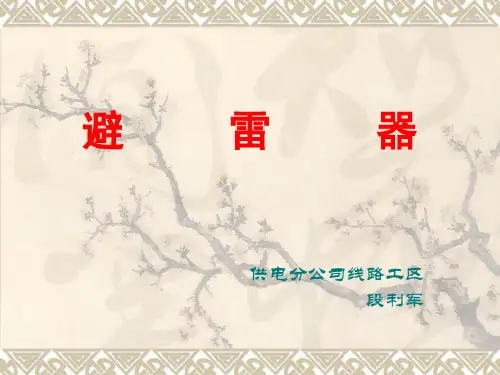 避雷器教学课件