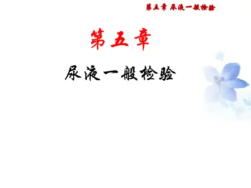 11-尿液显微镜检查