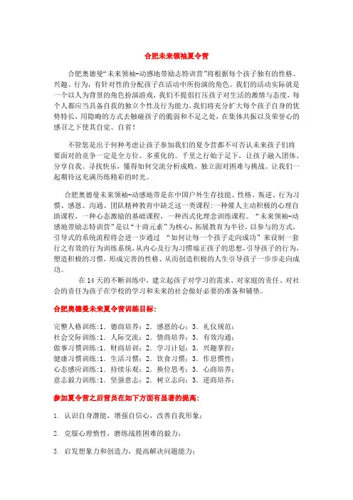 合肥未来领袖夏令营