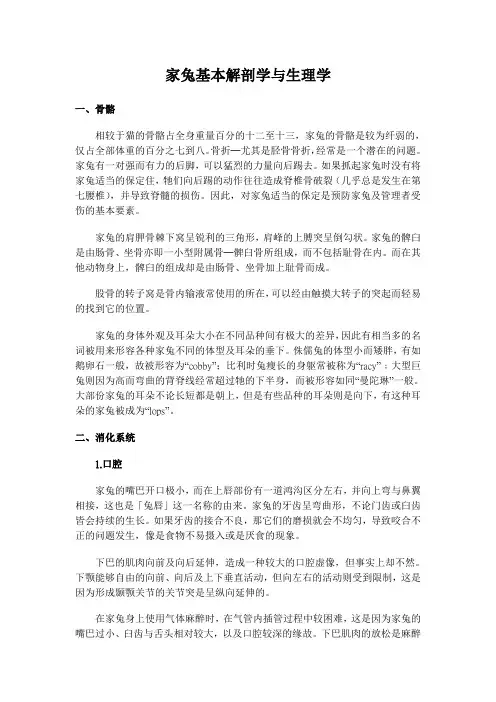 家兔基本解剖学与生理学