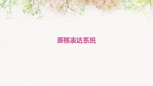 原核表达系统