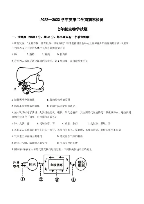 山东省济宁市邹城市2022-2023学年七年级下学期期末生物试题(无答案)