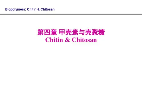 第4章 甲壳素和壳聚糖 天然高分子材料