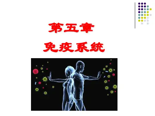 医学免疫学第5章免疫系统讲解