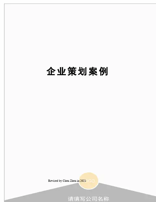 企业策划案例